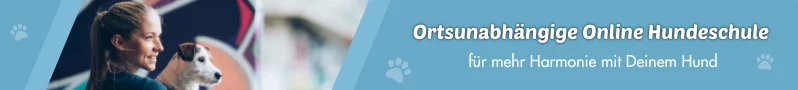 Online Hundetraining